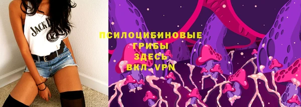 дурь Володарск