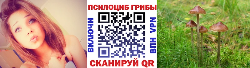 Галлюциногенные грибы ЛСД  Элиста 